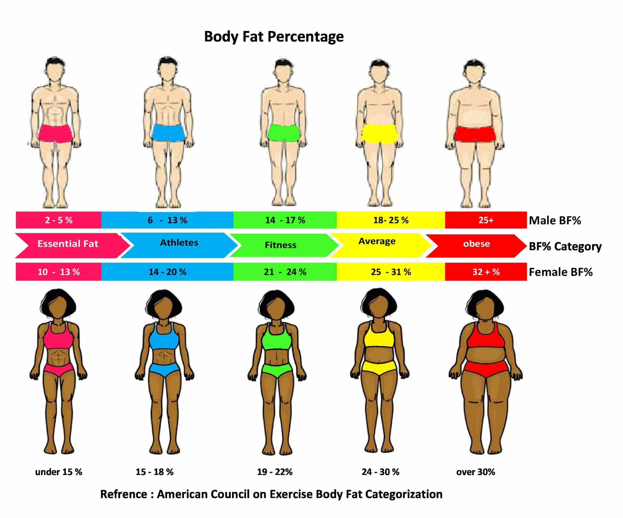 Body Fat Percentage Calculator Nutrilove Co In